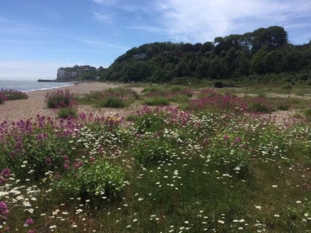 Mariner'S Cottage - On Kingsdown Beach Deal Exteriör bild