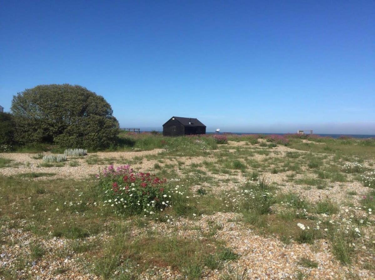 Mariner'S Cottage - On Kingsdown Beach Deal Exteriör bild